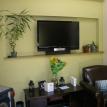 Family room plasma LCD TV 